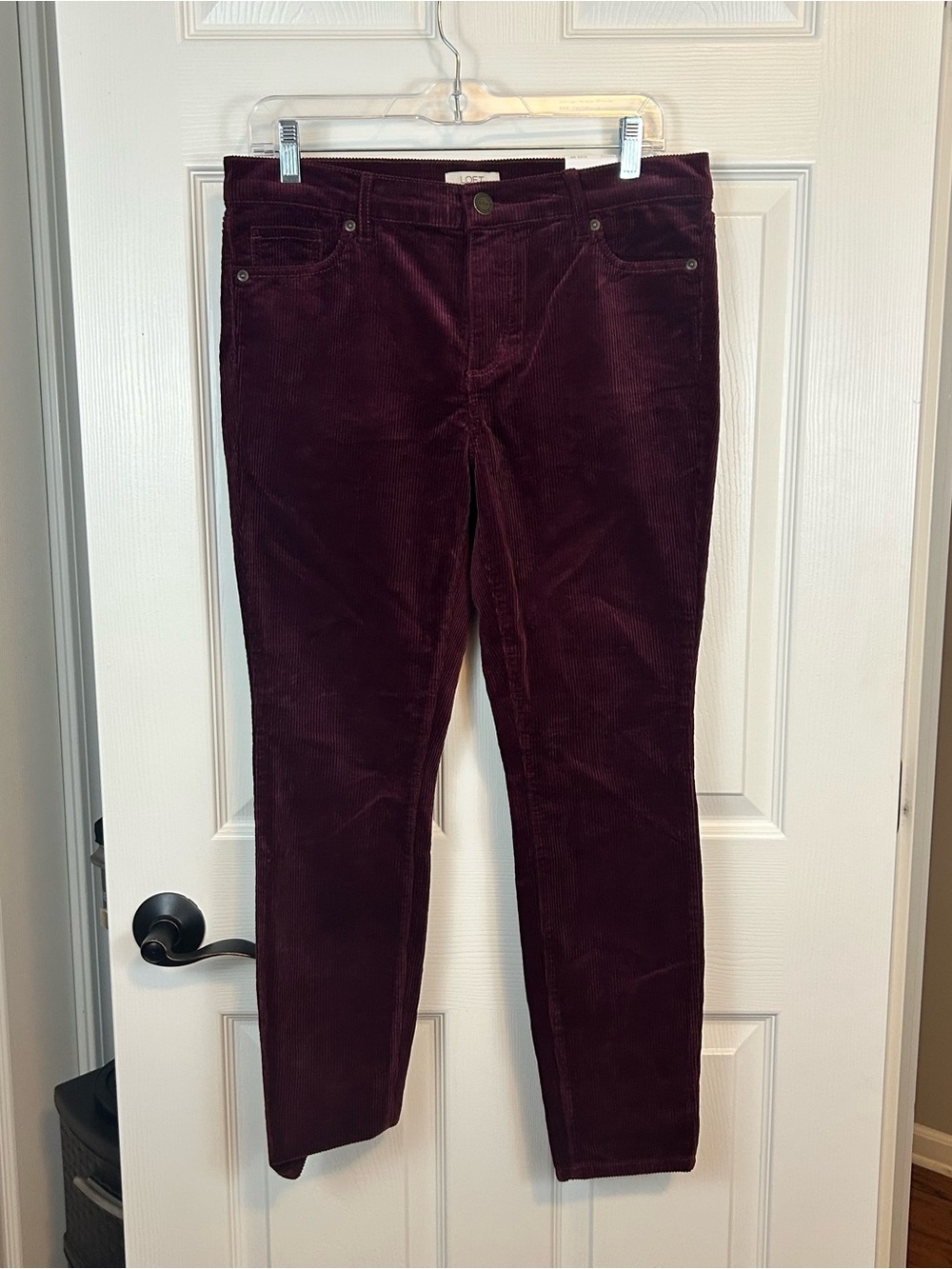NWT LOFT Corduroy Pants Modern Skinny Petite 8P Burgundy